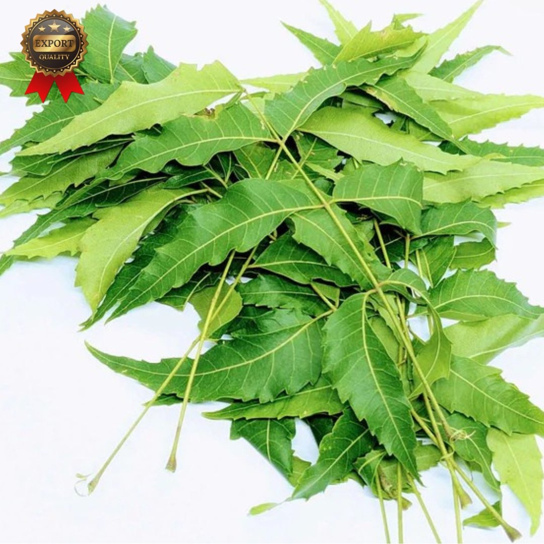 Surbhi Natural Agro