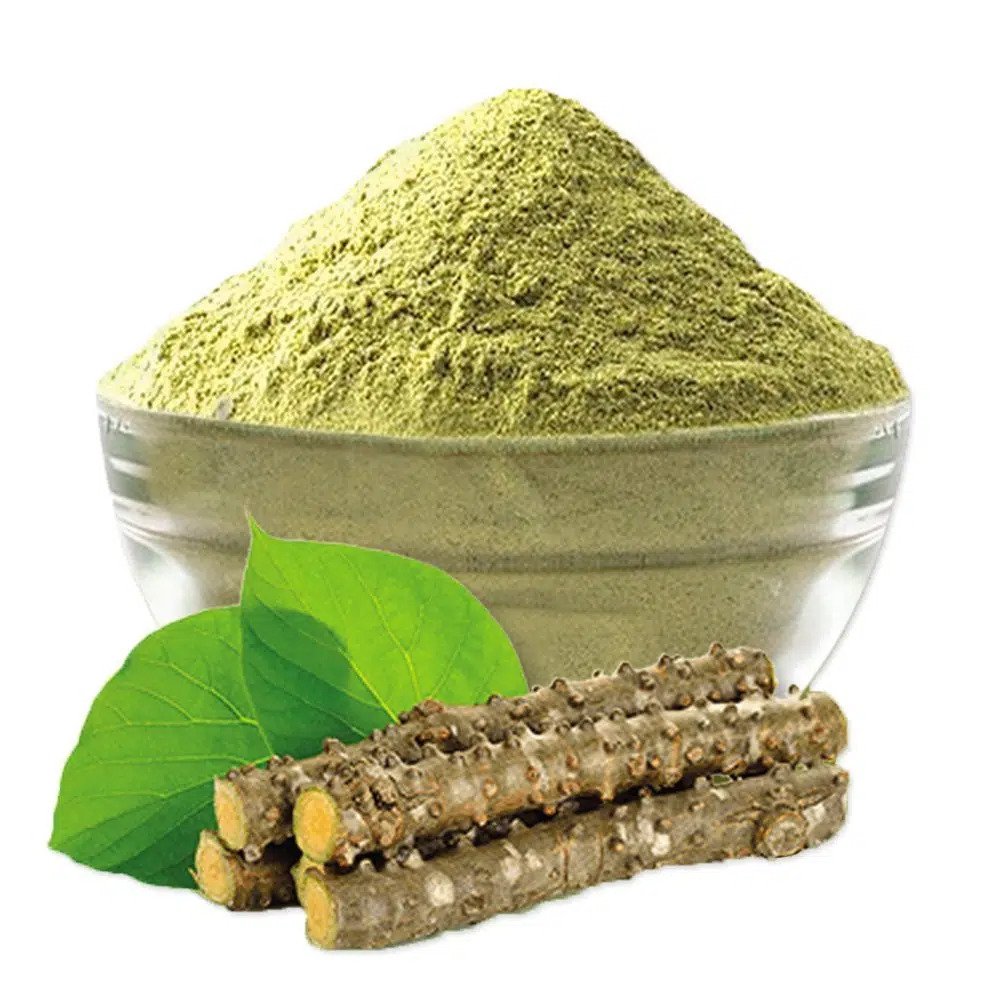 Giloy Powder
