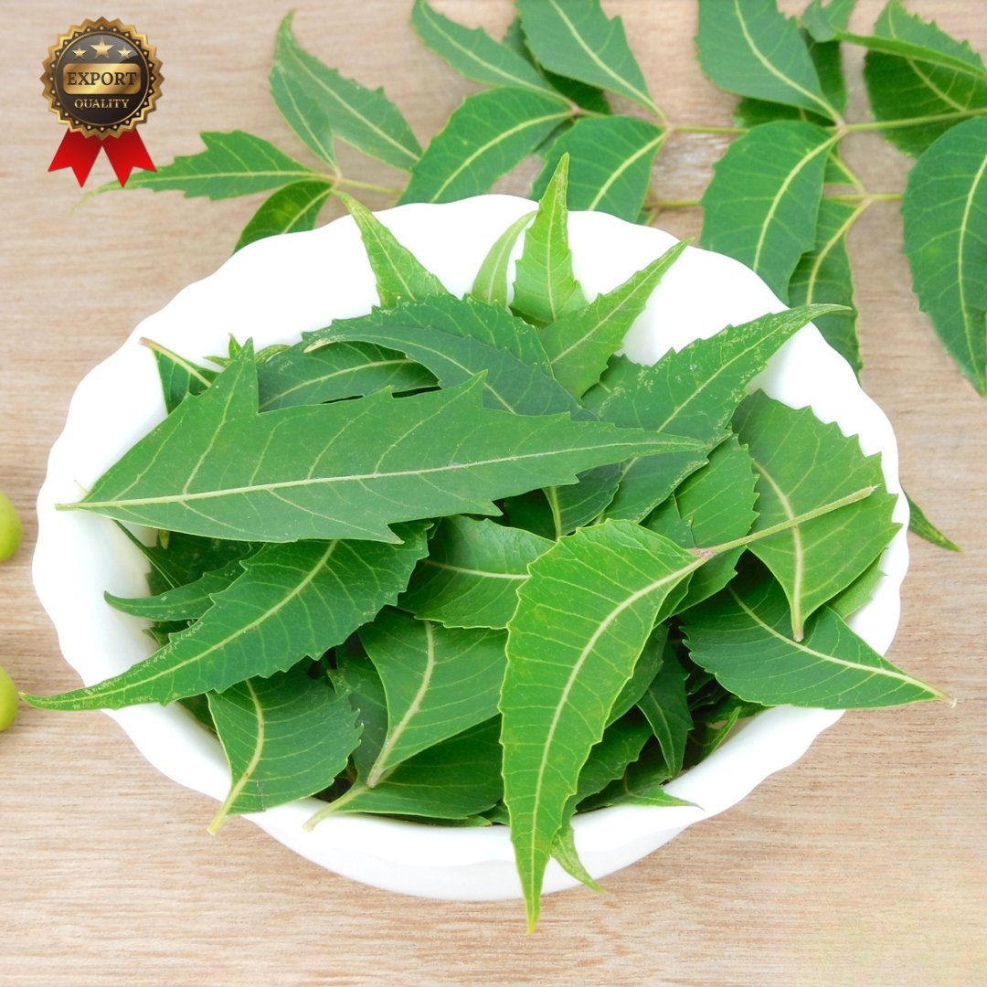Neem Leaves